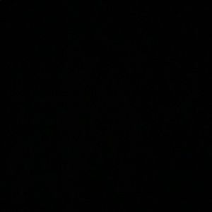 Meet your Posher, Brady